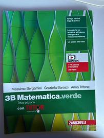 LIBRO DI MATEMATICA "MATEMATICA.VERDE VOL. 3B"