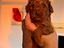 Immagine 4