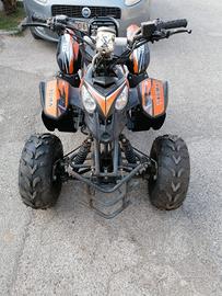 QUAD NUOVISSIMI