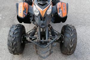 QUAD NUOVISSIMI