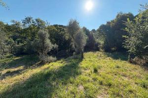 Terreno con rudere a 5km dal mare Albisola (SV)