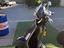 Immagine 10