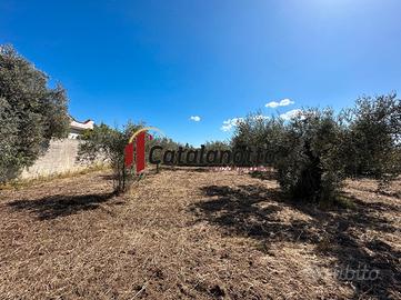 Terreno edificabile a Selinunte