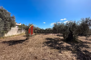 Terreno edificabile a Selinunte