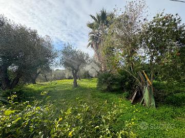 CASA INDIPENDENTE A SASSARI