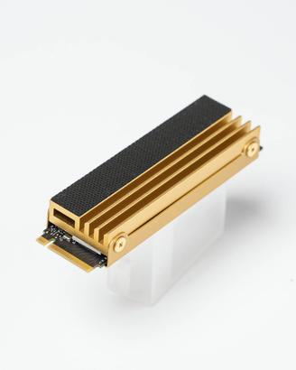 SSD NVMe 512gb con dissipatore