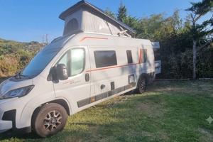 Roller Team Livingstone duo XL 2025