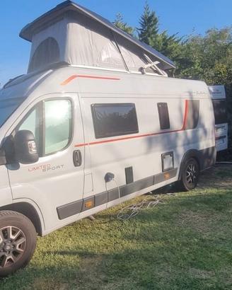 Roller Team Livingstone duo XL 2025