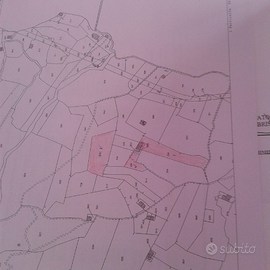 Terreno con cascinale