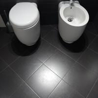 pezzi sanitari poco trattabile 