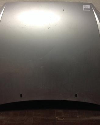 Cofano - FORD Focus 98-01