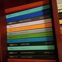 Libri di scultura