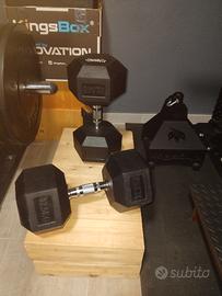 Dumbbels coppia manubri esagonali 32,5kg