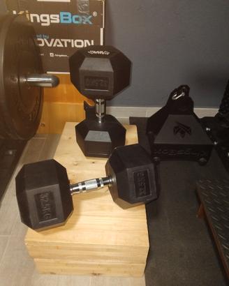 Dumbbels coppia manubri esagonali 32,5kg