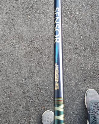 canna vertical jigging Daiwa 100 - 300 gr