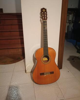 chitarra acustica in legno 