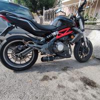 Benelli 302 R - 2015