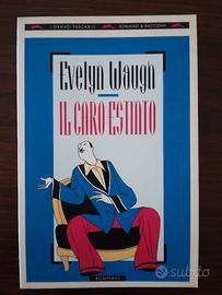 Libro: Il caro estinto