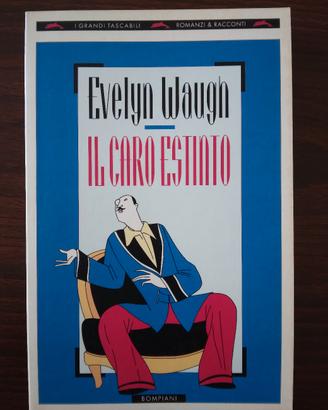 Libro: Il caro estinto