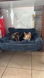 Lavoratore indeterminato