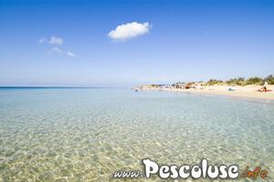 Vacanze nel salento dintorni Pesculuse-Leuca