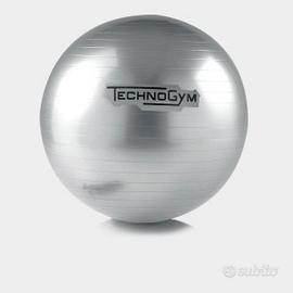 technogym wellness ball