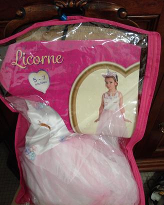 costume carnevale bambina 5 7 anni