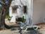 Immagine 1