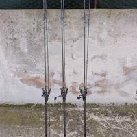 Set compleanno per iniziare la pesca alla Carpa -C