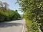 Immagine 14