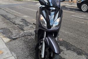 X-max 250