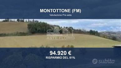 Immobile in asta di 36120 m² a Montottone