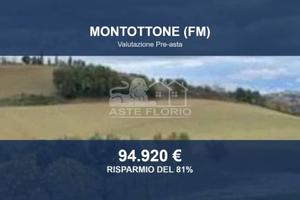 Immobile in asta di 36120 m² a Montottone