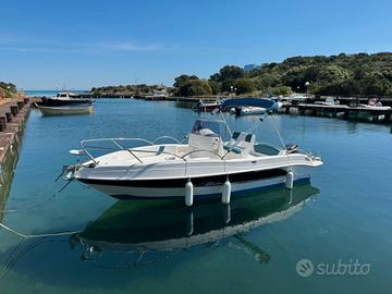 bluline 19 plus + evenrude e-tec 40cv