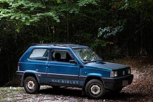 Panda Sisley doppio tetto