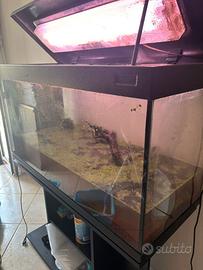 ACQUARIO 200 LITRI CON SUPPORTO