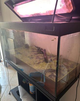 ACQUARIO 200 LITRI CON SUPPORTO