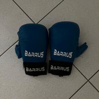 guantini karate