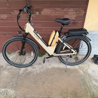 G-Force bicicletta elettrica