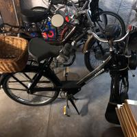 Solex 3800