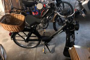 Solex 3800