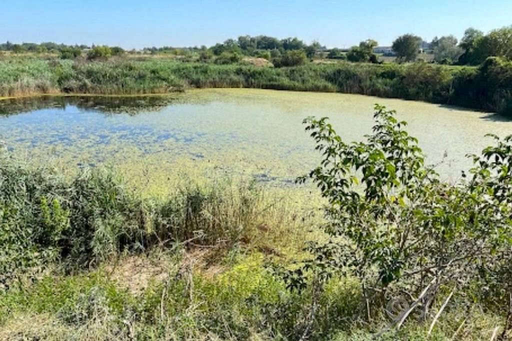 Immobile in asta di 295969 m² a Forlimpopoli - Vista 3