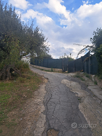 Terreno termini imerese