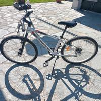 Bicicletta mtb