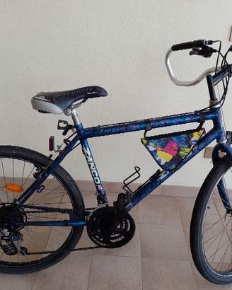 mountain bike