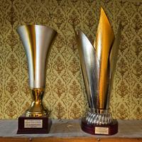 2 Trofei Coppe 1 Classificato Torneo Calcio