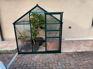 serra per piante o fiori 