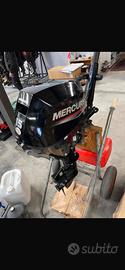 Motore Fuoribordo MERCURY F15 MH