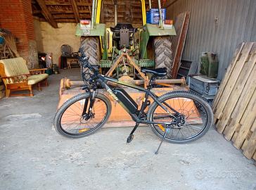 bicicletta a pedalata assistita 