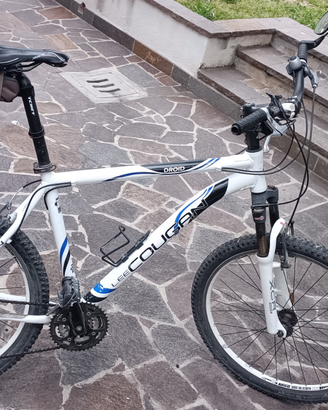 Mtb lee cougan
